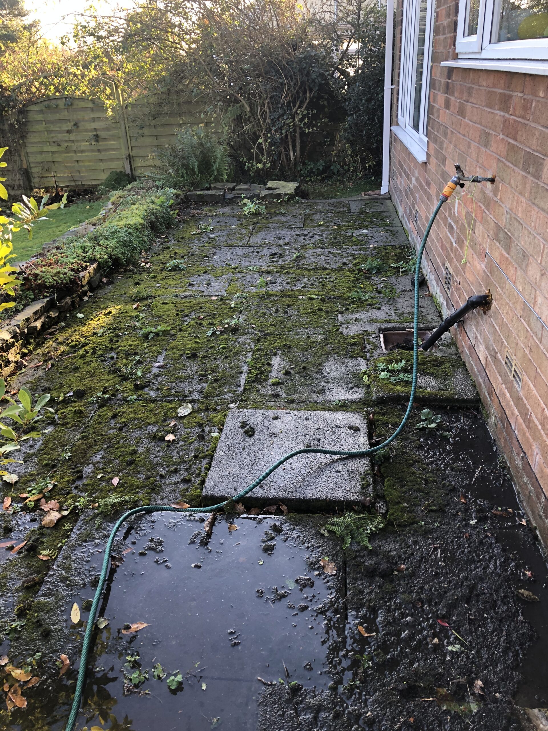 Moss-covered patio restoration before cleaning