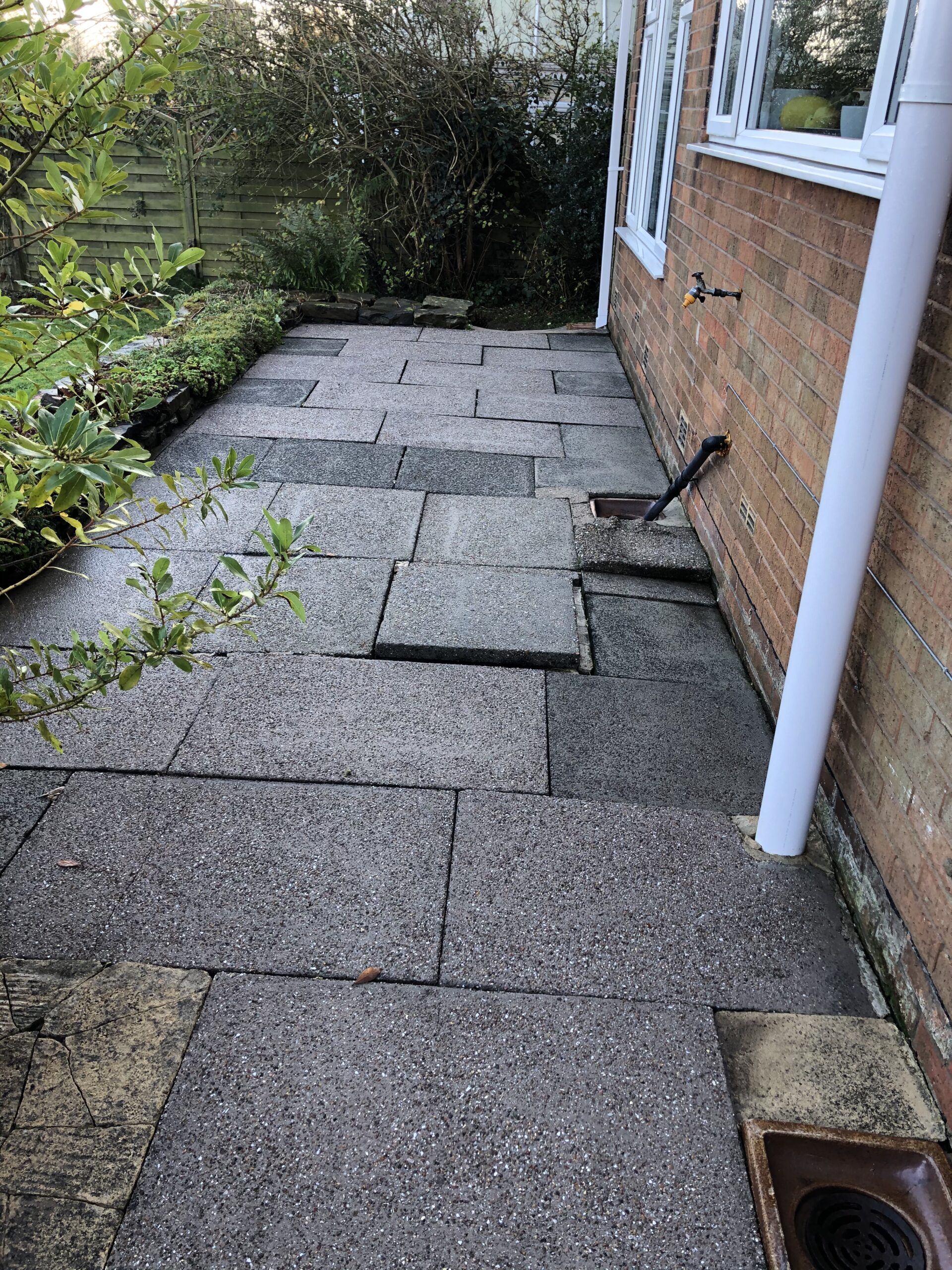 Moss-covered patio restoration after cleaning
