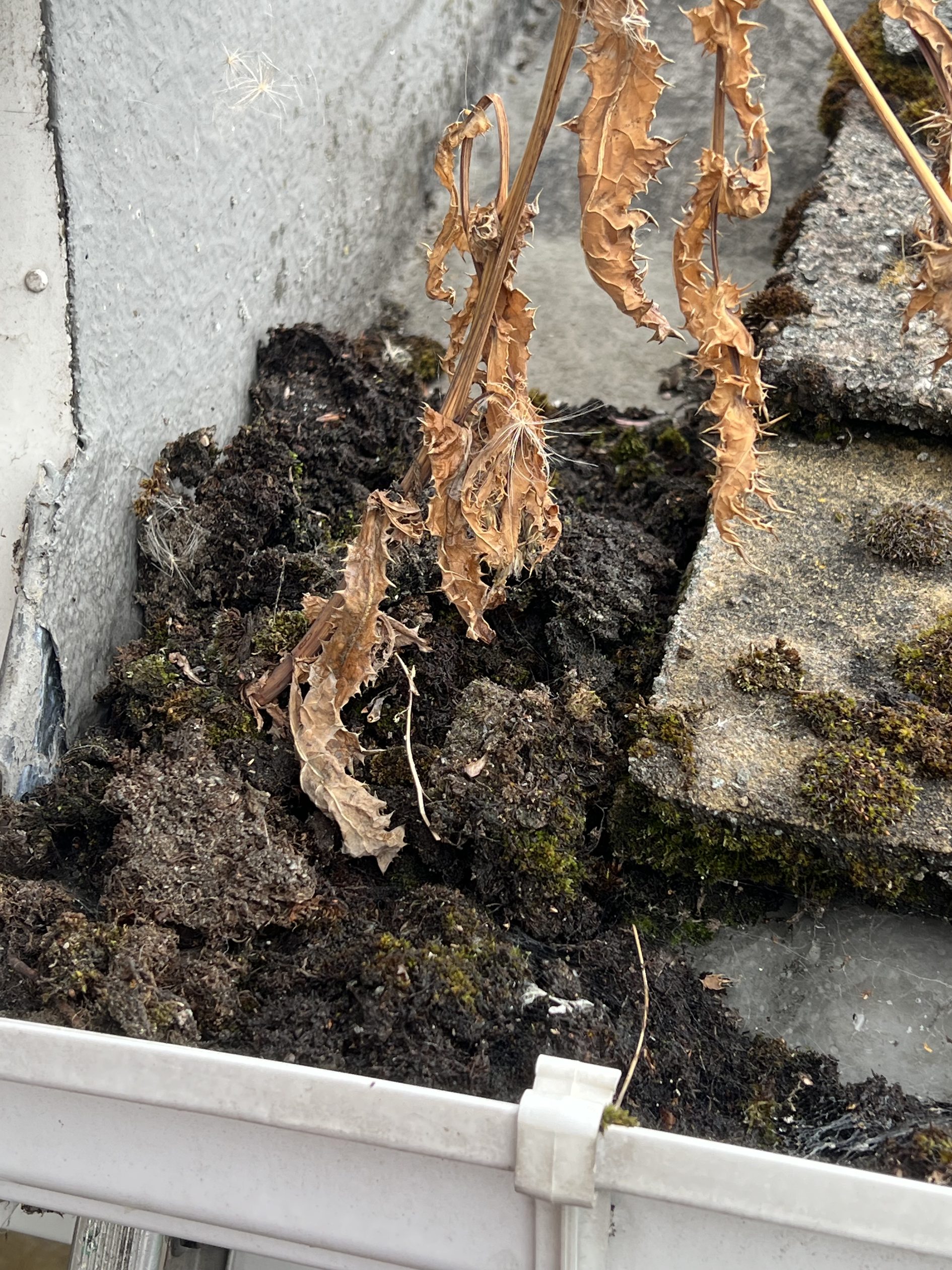 Gutter debris clearance before cleaning